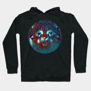 Daring mycat, revolution for cats Hoodie